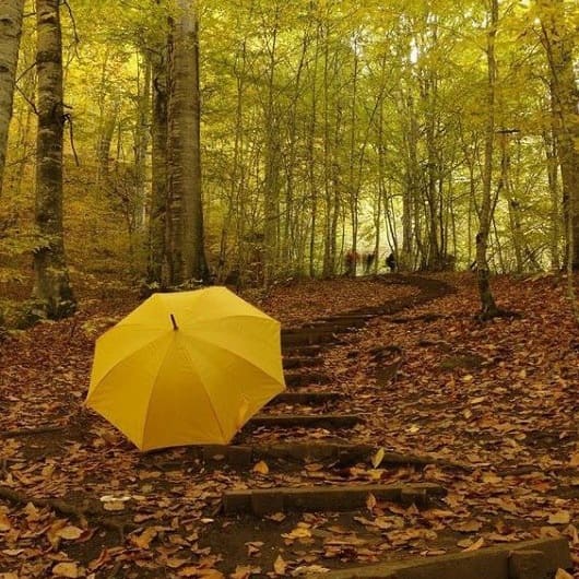 دانلود اهنگ میترسم از روزای بارونی _ با صدای زن _